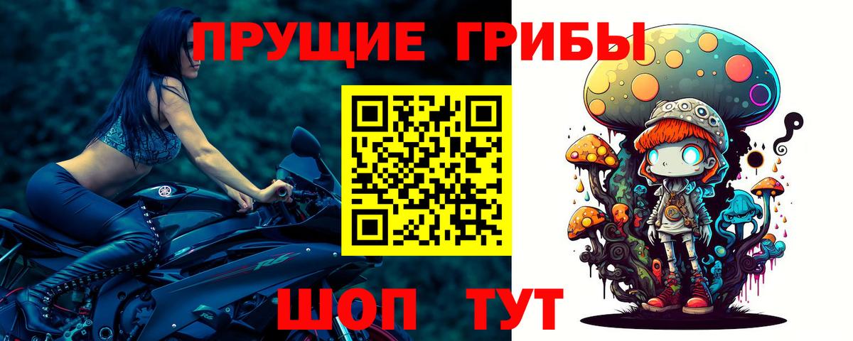 Псилоцибиновые грибы ЛСД  Вход с VPN  Галлюциногенные грибы мицелий  Бийск 